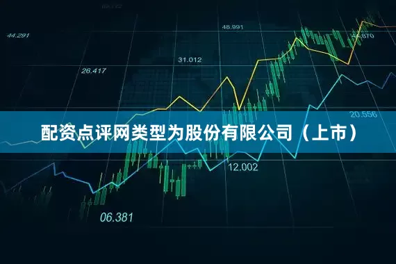 配资点评网类型为股份有限公司（上市）