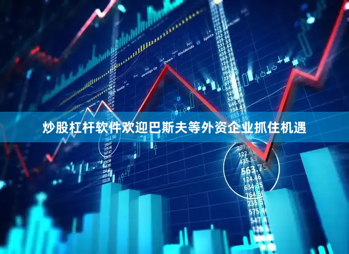 炒股杠杆软件欢迎巴斯夫等外资企业抓住机遇