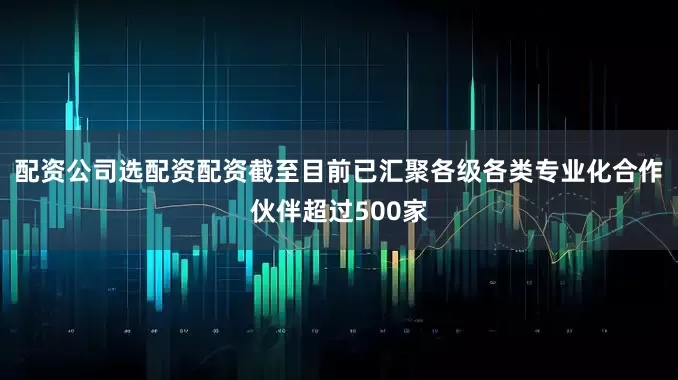 配资公司选配资配资截至目前已汇聚各级各类专业化合作伙伴超过500家