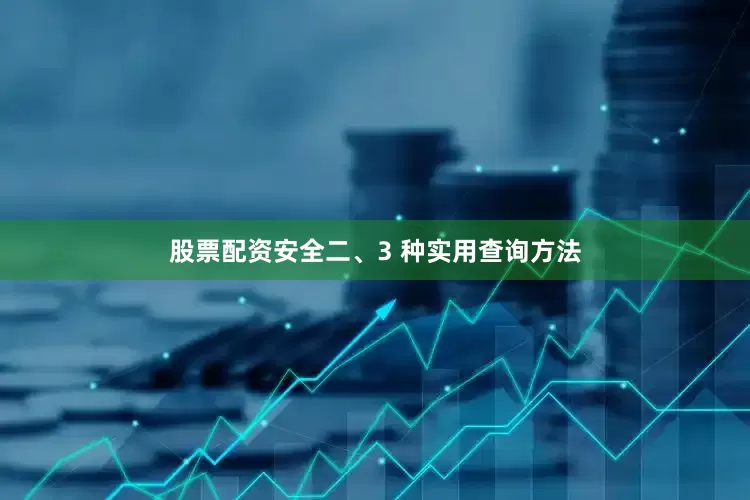 股票配资安全二、3 种实用查询方法