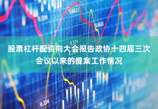 股票杠杆配资向大会报告政协十四届三次会议以来的提案工作情况