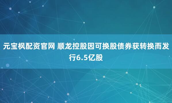 元宝枫配资官网 顺龙控股因可换股债券获转换而发行6.5亿股